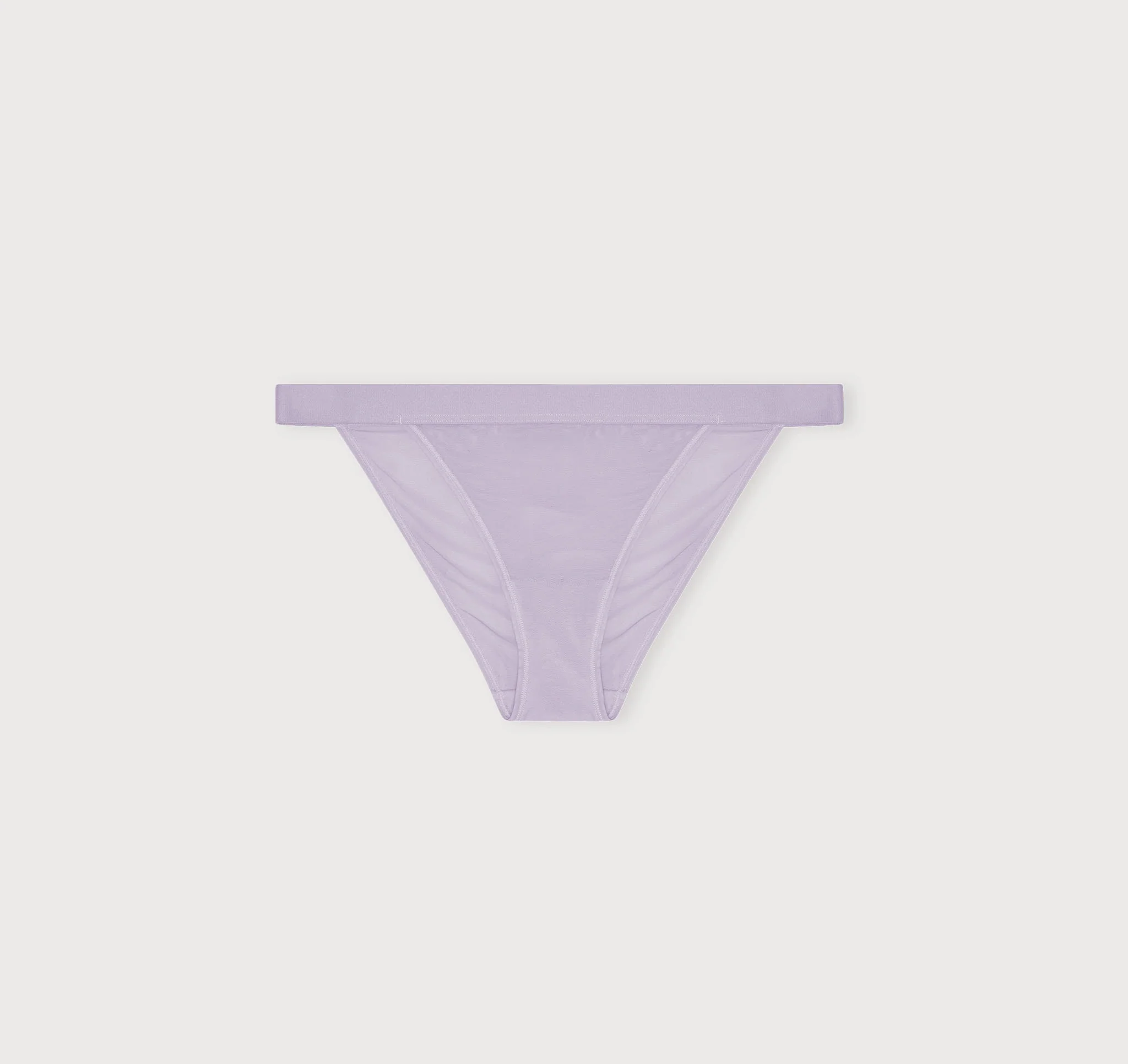 Mesh Tanga Briefs